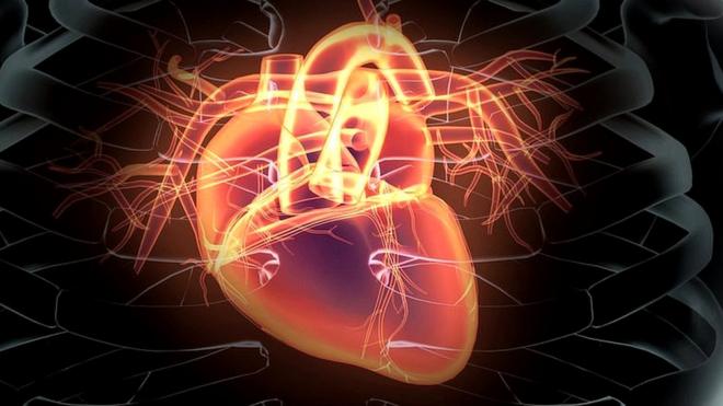 El análisis, llamado Troponina, busca una proteína que se desprende cuando el músculo del corazón tiene daños.
