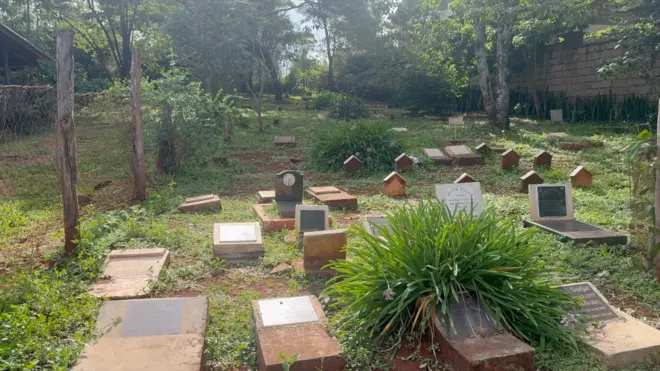 Mawe ya makaburi yaliyojipanga kwa safu huku mengine yamewekwa maua juu yake.