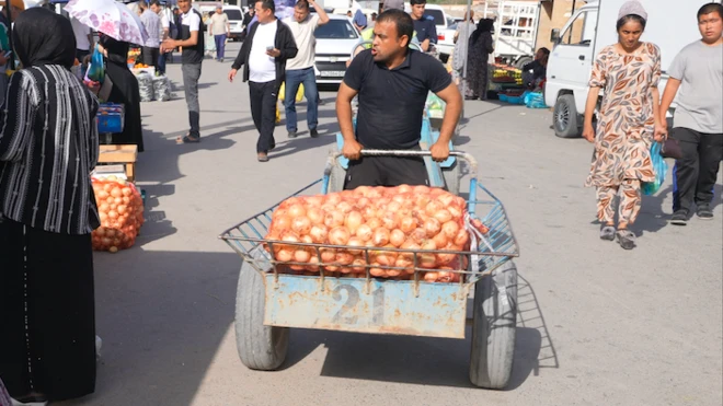 Piyoz narxi 10 barobar oshgan