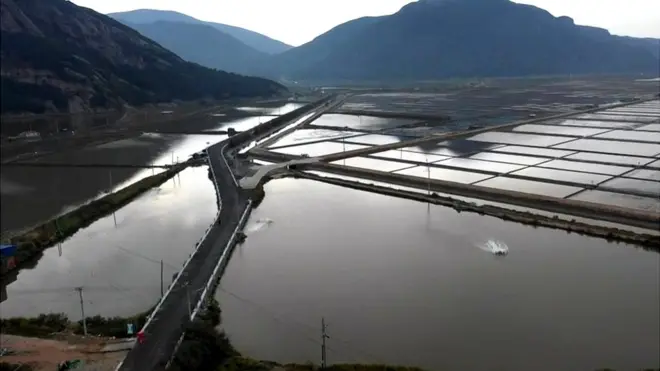 नकम के फॉर्म