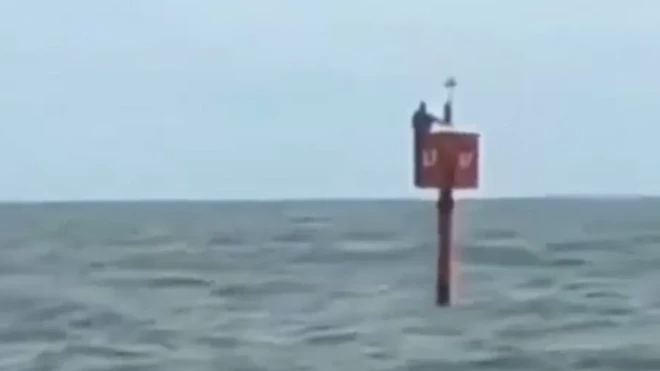 brezilya balıkçı