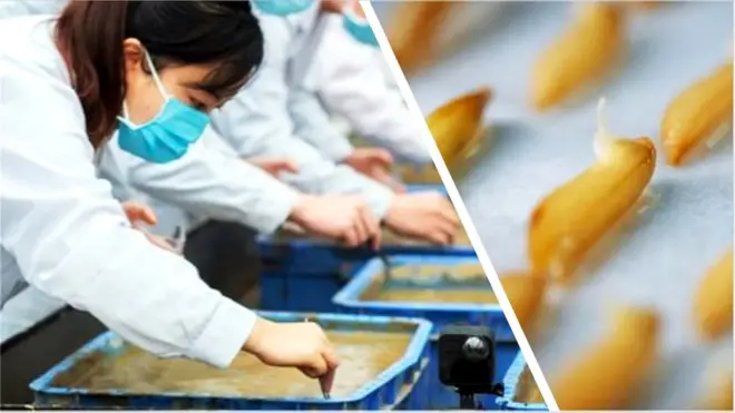 అంతరిక్షంలో చైనా పంటలు పండిస్తోంది.. ఎందుకు