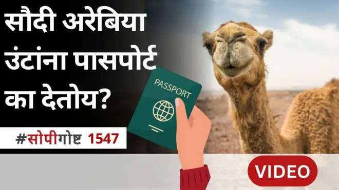 सोपी गोष्ट