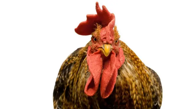 ¡Razón tenían para estar furiosos!