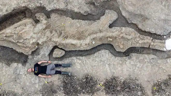 Самый крупный ихтиозавр в Великобритании