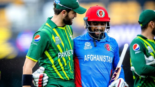 عثمان - شاهین