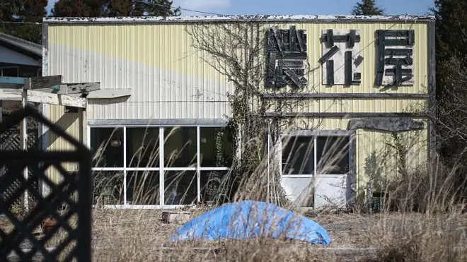 जापान अकिया