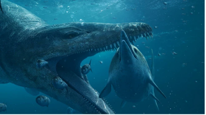 Ilustrasi serangan pliosaurus
