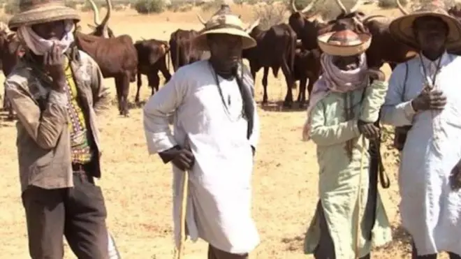 Awọn darandaran mẹrin to de akẹtẹ mu ọpa lọwọ, awọn ọpọ maalu wa lẹyin wọn.