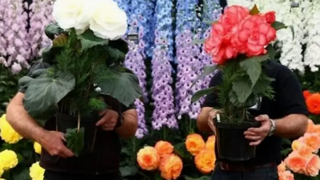 معرض الزهور في لندن