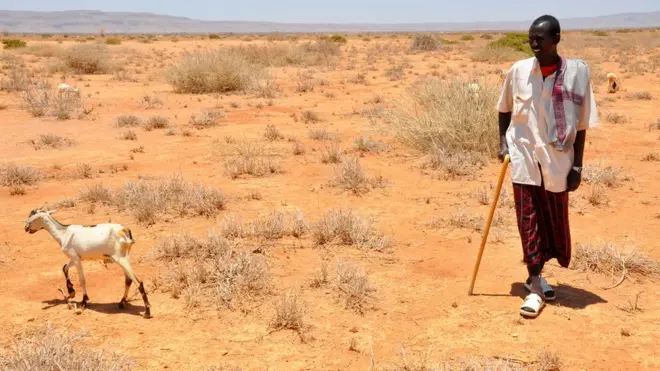 Places like Somaliland don already suffer plenty dry weather wey cause serious food shortage and hunger