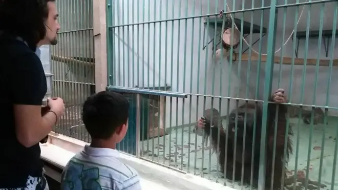 Studenti su pokušali da im bar malo nadomeste ono što im nedostaje