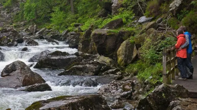 Eifion Griffiths: "[Cwtch adalah] sebuah tempat aman…sesuatu yang membuat Anda merasa hangat — bukan hanya secara fisik tapi juga emosional."