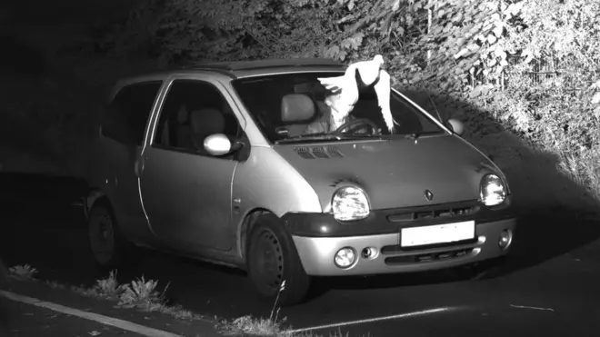 A dove flies across the face of a driver in this speed camera image