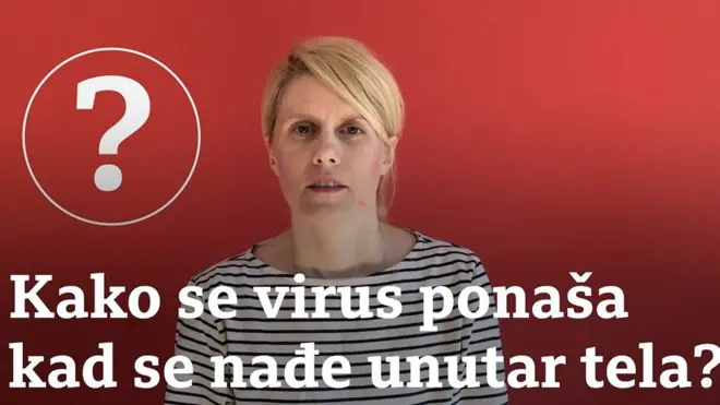 Kako se ponasa virus unutar tela?