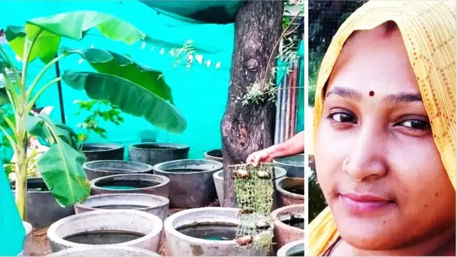 ముత్యాల సాగు