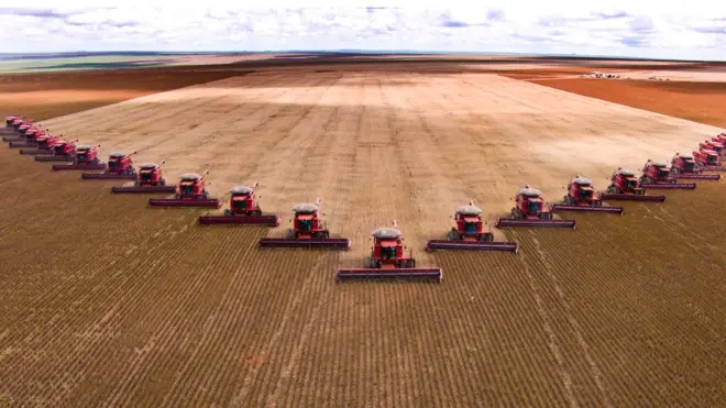 Área plantada da soja deve aumentar quase 30% na próxima década, conforme projeções oficiais