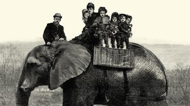 Jumbo cargando niños en su lomo Foto: Wiki Commons
