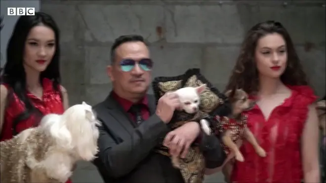 新冠疫情下养宠物者大增　时尚圈为宠物推出服饰“展示自我”