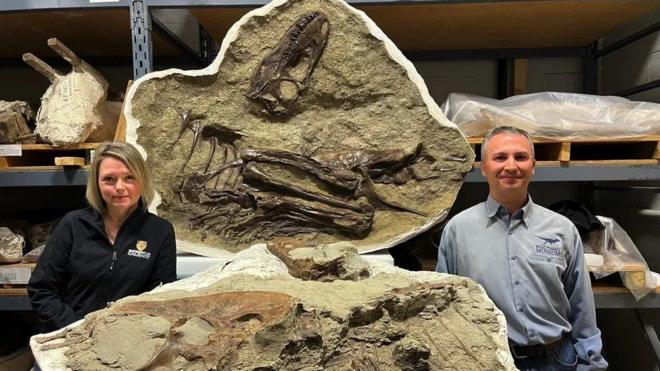 Os cientistas Darla Zelenitsky e François Therrien com o fóssil completo do tiranossauro