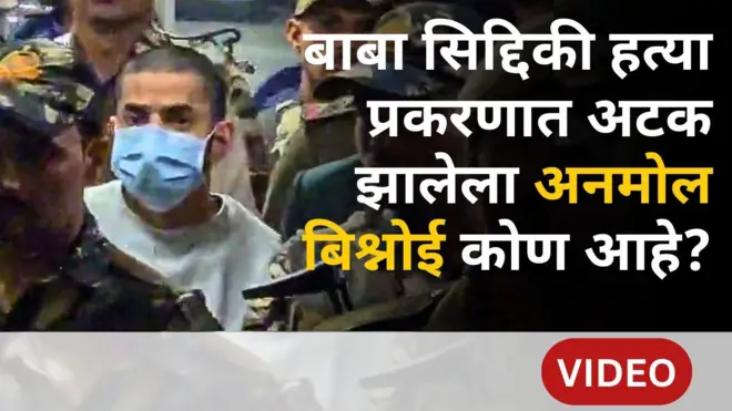 अनमोल बिश्नोई