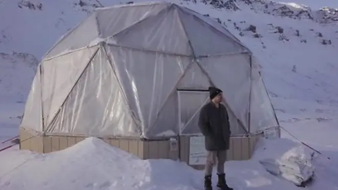 veggies at the edge of the Arctic circl