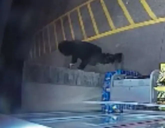 ਕੈਨੇਡਾ ਕਤਲ