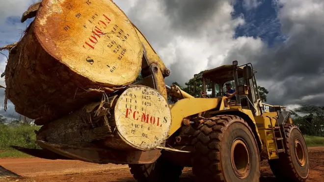 Congo Basin Forest people