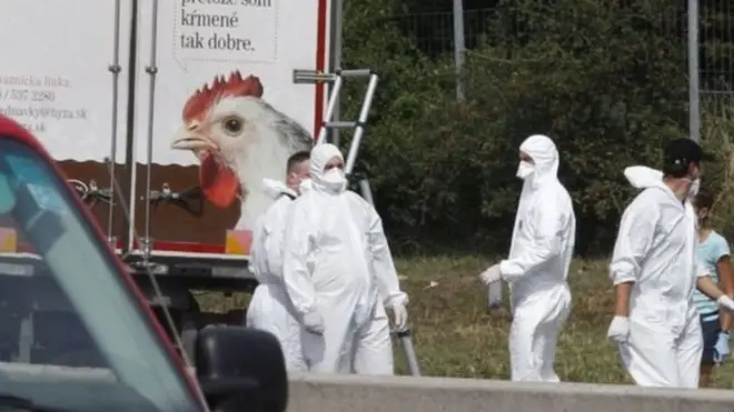 Petugas menemukan 71 jenazah dalam kondisi mengenaskan di Austria.