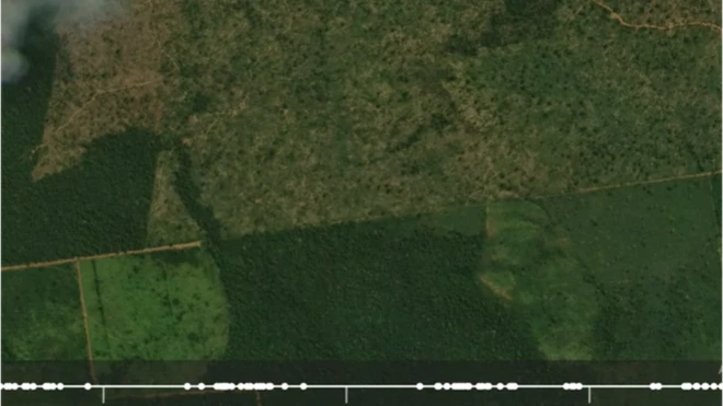 trecho da Amazonia