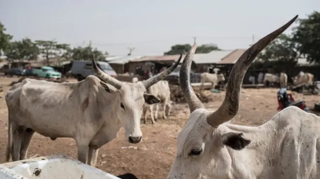 Nsogbu dị n'etiti ndị ọchịehi na ndị ọrụgbo na-emetụta ikọpụta ihe oriri