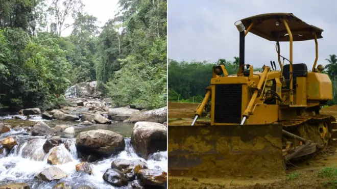 සිංහරාජය