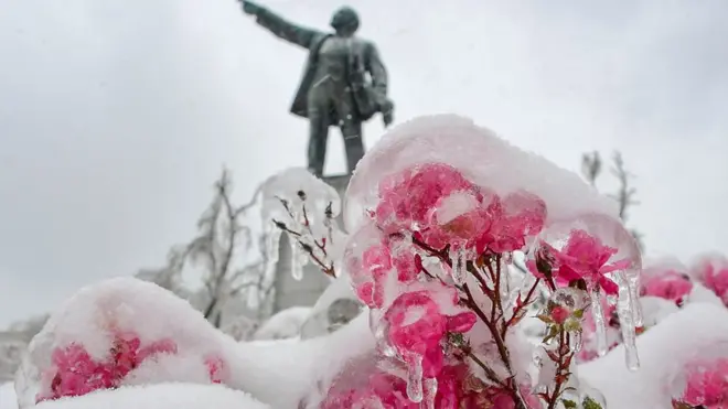 В Приморском крае – ледяной шторм, а это ветер, снег и дождь одновременно