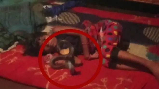 మెడకు పాము