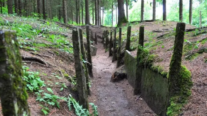 （Credit: Melissa Banigan）