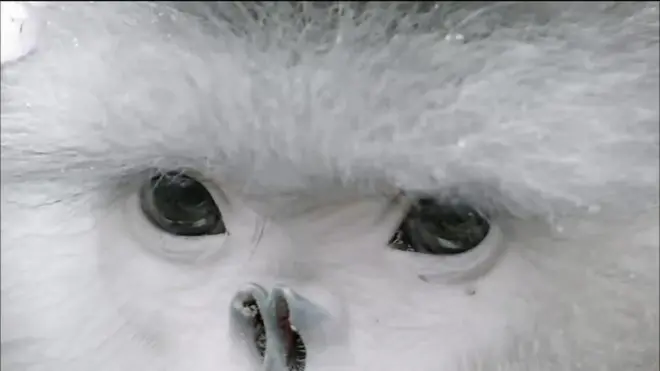 《我們誕生在中國》在中國的影院首映時也獲得了好評