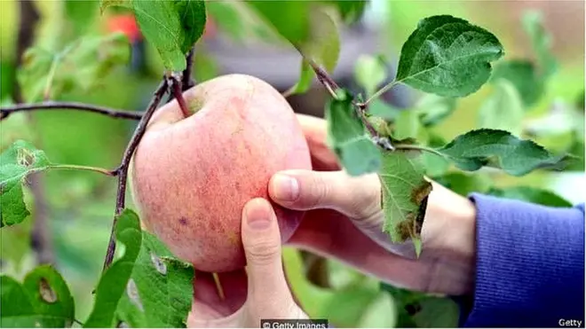 లాక్‌డౌన్ సమయంలో ఇళ్లకు వెళ్లకుండా ఇక్కడే ఉన్న నేపాలీలు కూడా ప్రస్తుత పరిస్థితుల నేపథ్యంలో వాళ్ల ఇళ్లకు వెళ్లారు