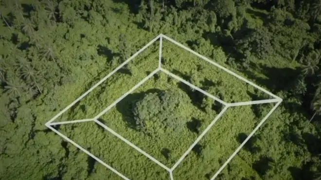 A pirâmide foi engolida pela floresta e arqueólogos estão tentando escavá-la