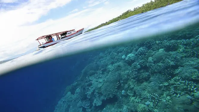 Imagen de un pequeño barco y del coral debajo del agua