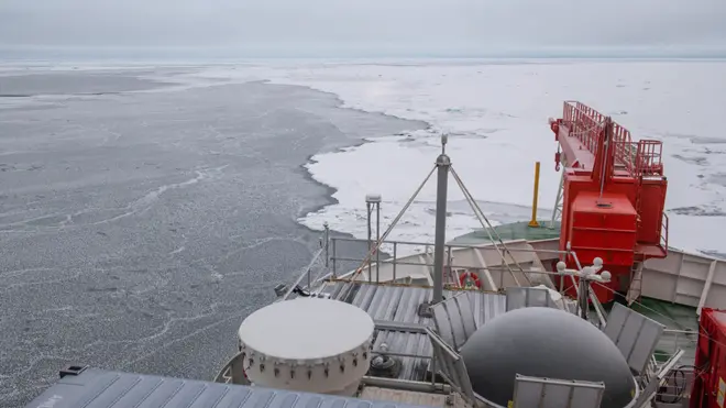 Полярная звезда