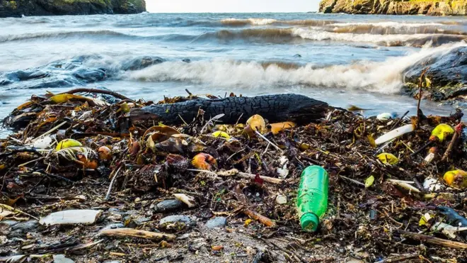 የፕላስቲክ ቆሻሻዎች