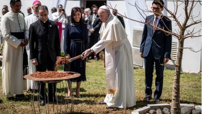 Le pape François a symboliquement planté un baobab devant le pavillon où il a prononcé son discours à Madagascar.