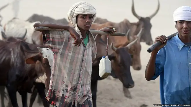 Ndị ọchịehi Fulani