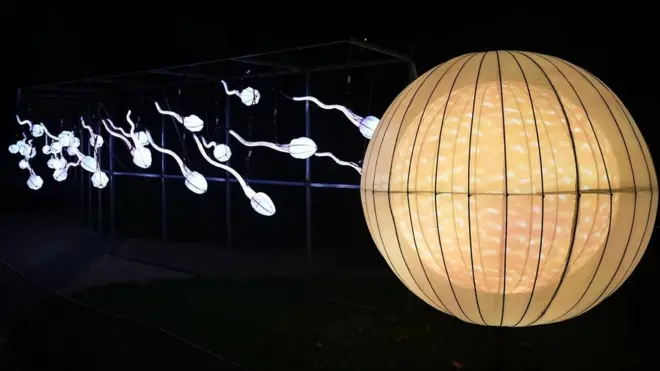 난자를 향해 가는 정자 모습을 형상화한 전등 장식