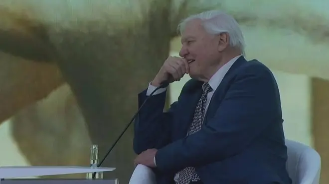 Девід Аттенборо порозмовляв про зміни клімату з принцом Вільямом у Давосі.