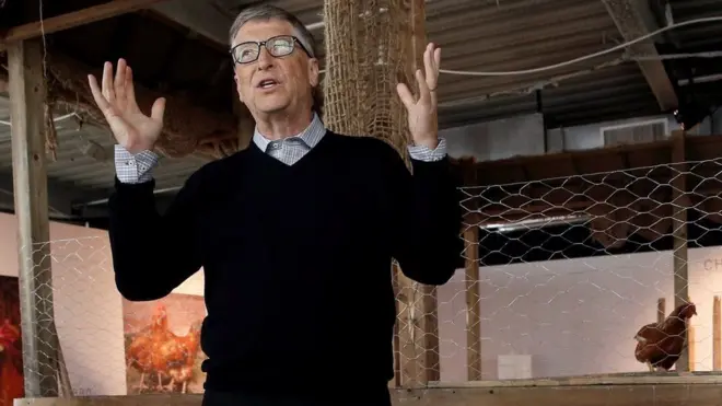 Bill Gates afirma que criar frangos pode render até US$ 1.000 por ano e ajudaria população aficana a sair da linha da pobreza