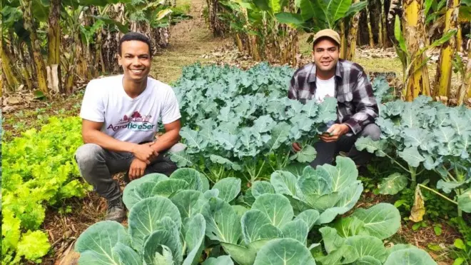 Agricultores em horta