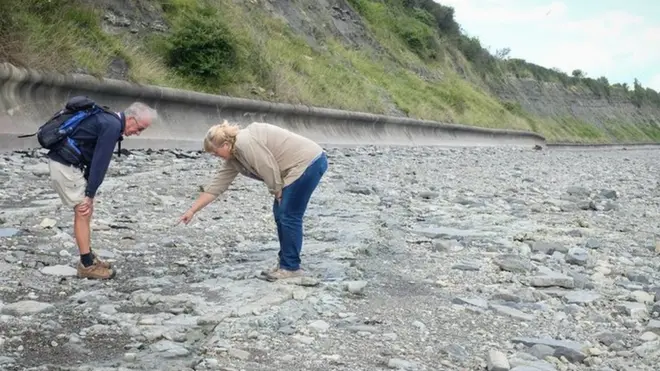 "Jejak pada bebatuan yang kami lihat sekian tahun silam telah muncul ke permukaan, bahkan saat ini jumlahnya makin banyak ketimbang ketika kami melihatnya pertama kali beberapa pekan lalu," kata Cindy Howells.