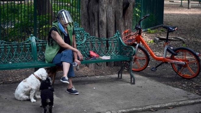 A woman sits in a bench while walking her dogs in Mexico City