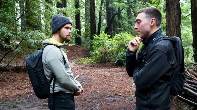 ازداد الاقبال على تعاطي جرعات صغيرة جدا من المهلوسات لتحفيز القدرات الإبداعية والأداء في العمل